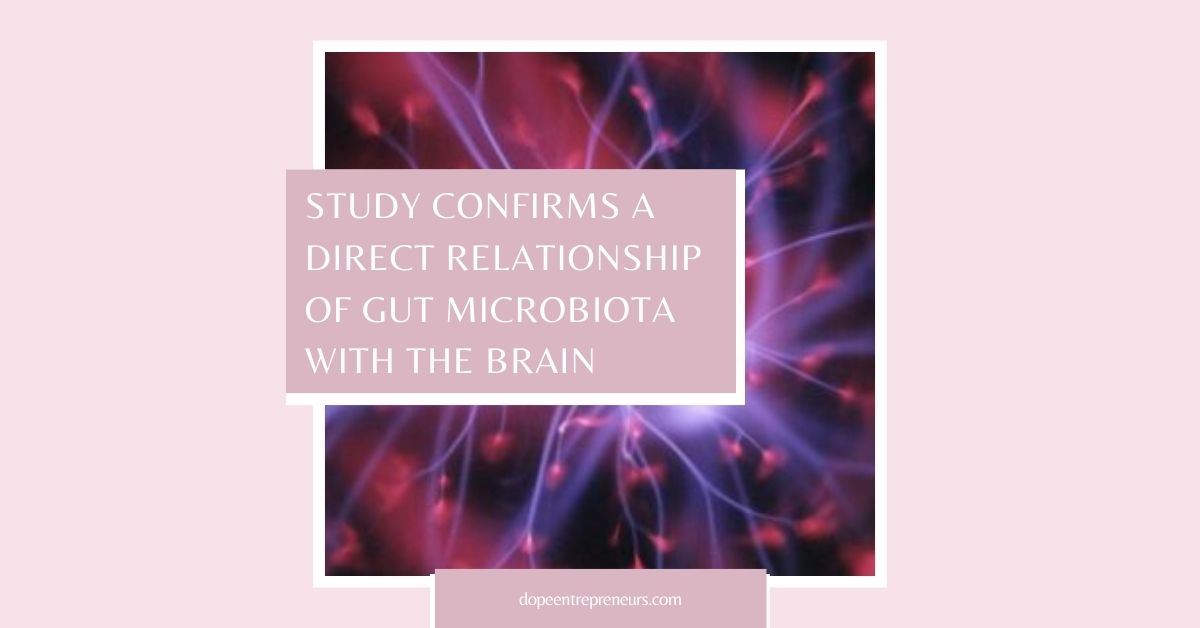 Study Confirms A Direct Relationship Of Gut Microbiota With The Brain ...